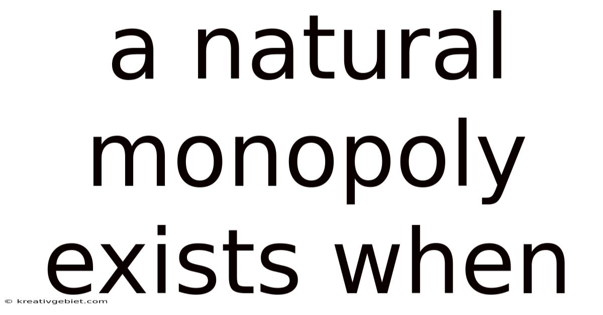 A Natural Monopoly Exists When