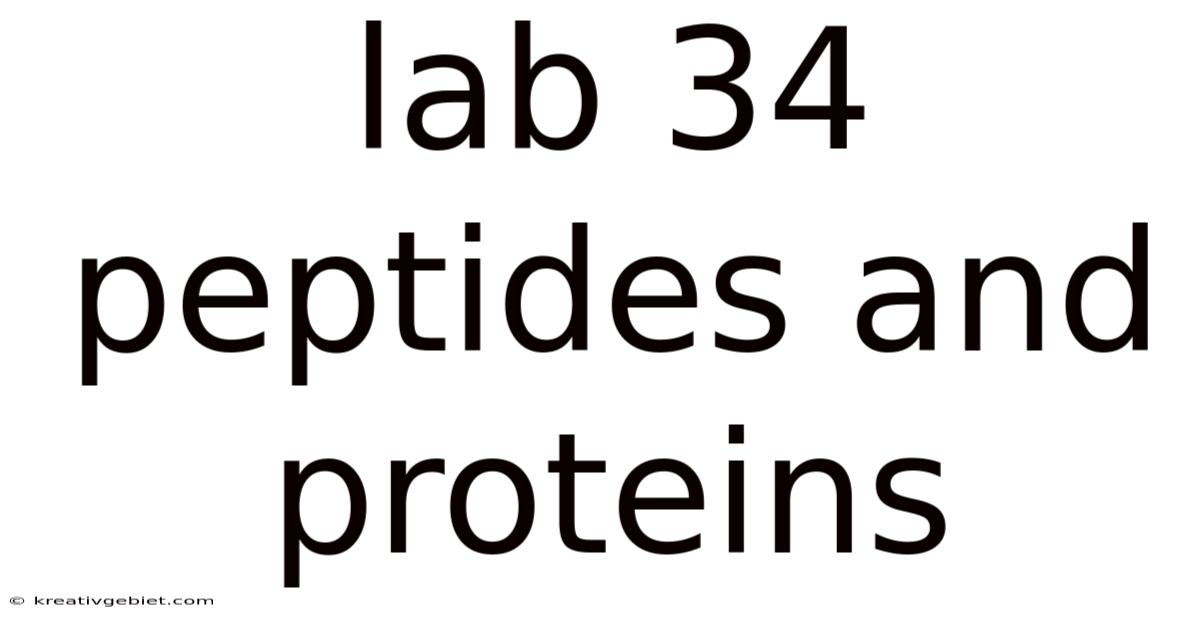 Lab 34 Peptides And Proteins