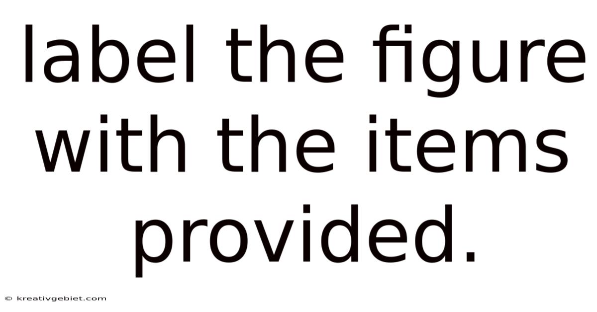 Label The Figure With The Items Provided.