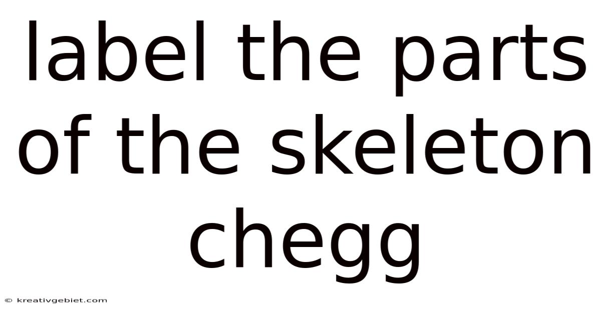 Label The Parts Of The Skeleton Chegg
