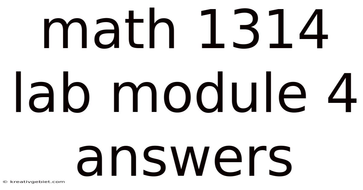 Math 1314 Lab Module 4 Answers