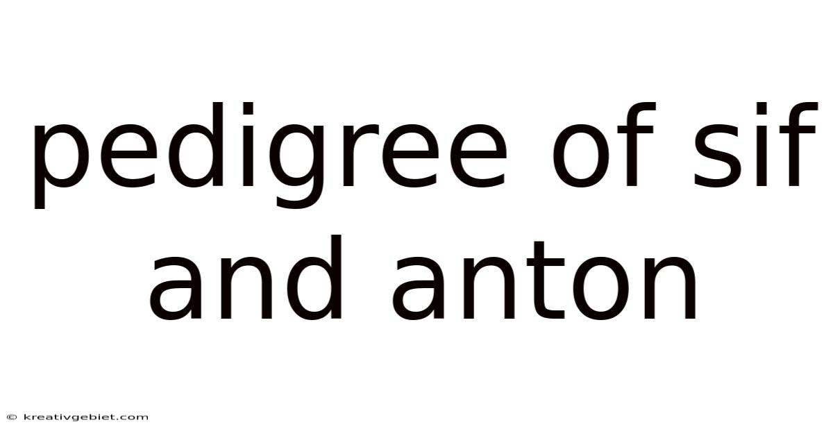 Pedigree Of Sif And Anton