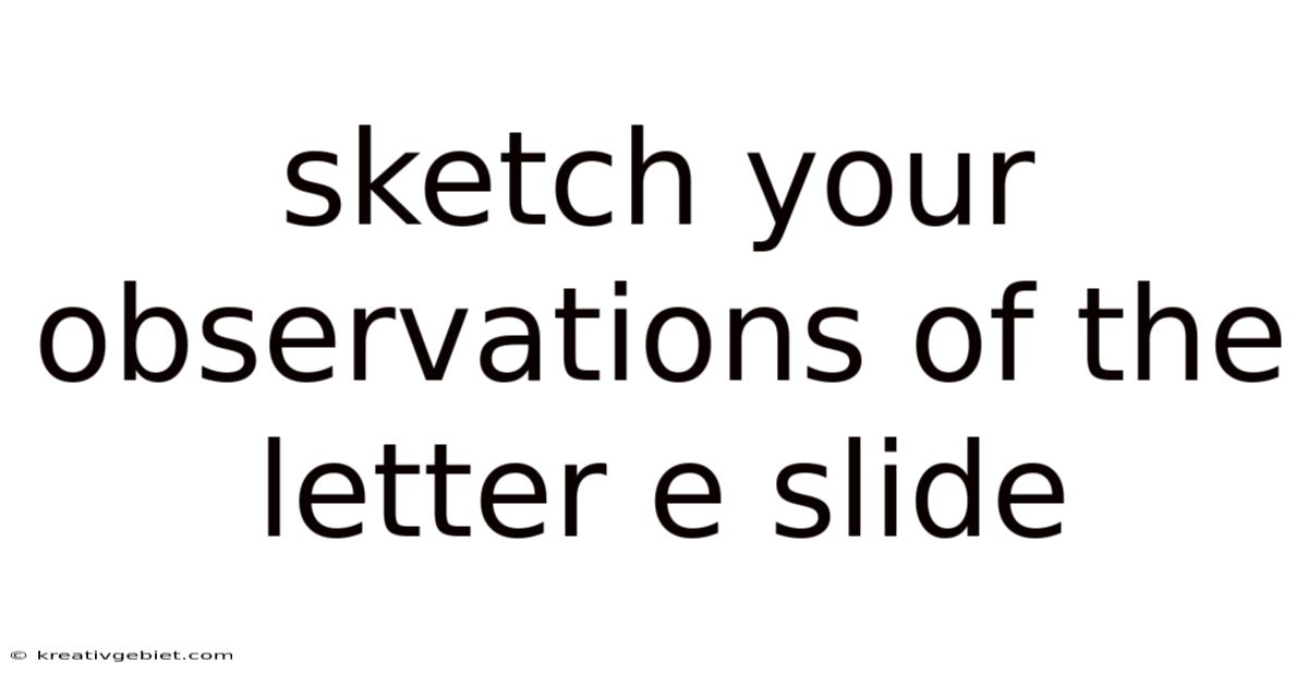 Sketch Your Observations Of The Letter E Slide