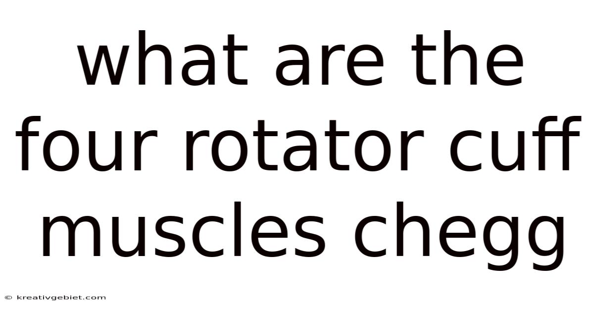 What Are The Four Rotator Cuff Muscles Chegg
