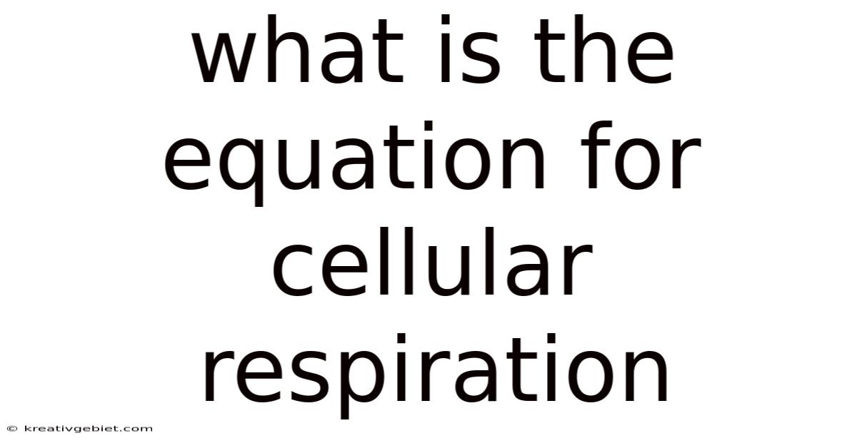 What Is The Equation For Cellular Respiration