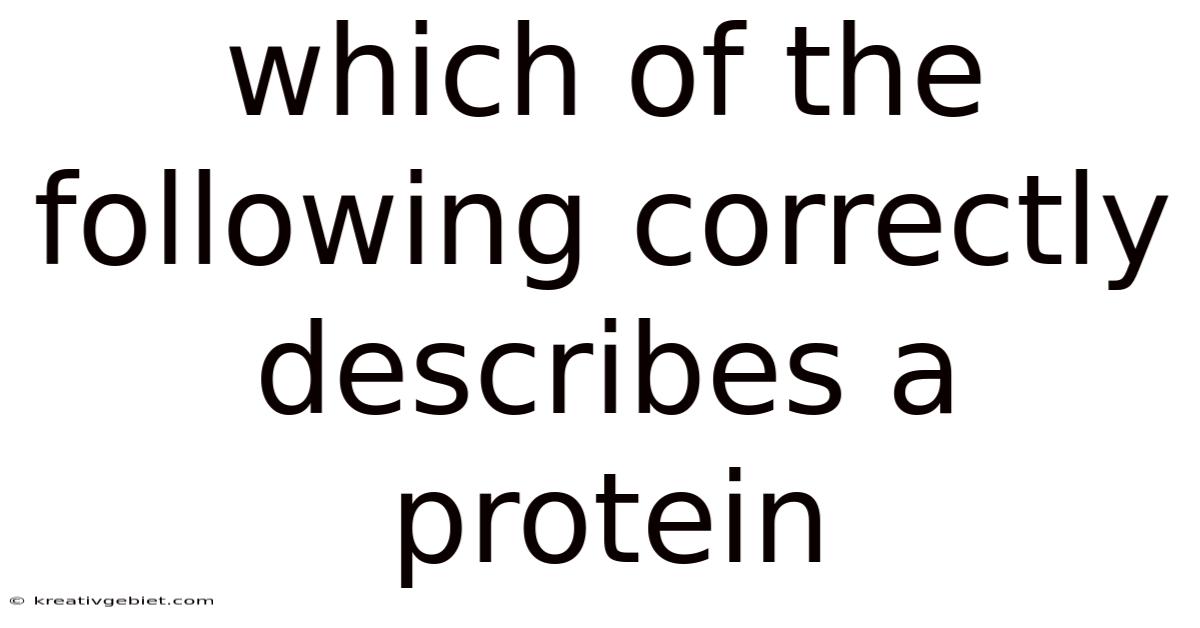 Which Of The Following Correctly Describes A Protein