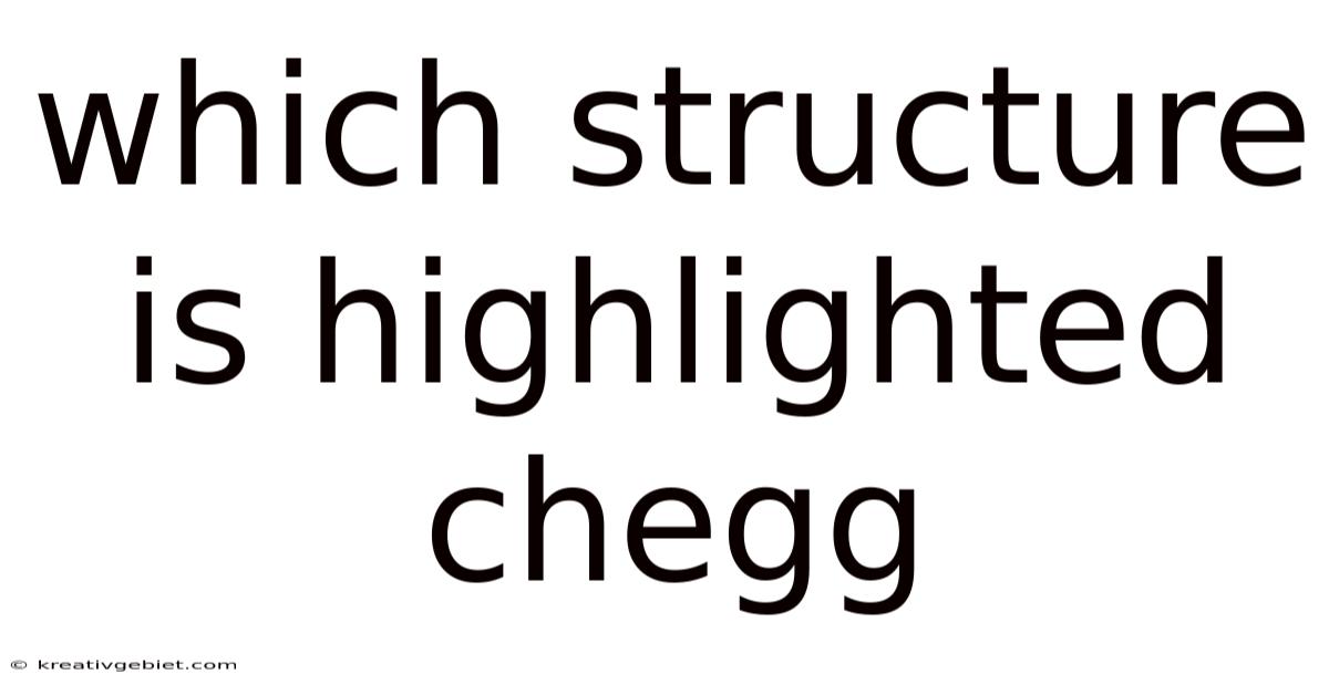 Which Structure Is Highlighted Chegg