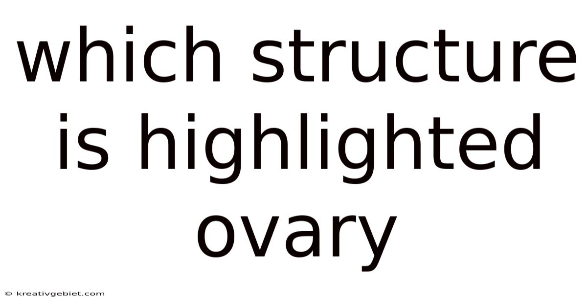 Which Structure Is Highlighted Ovary
